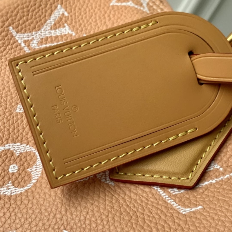 LV Speedy Bags
